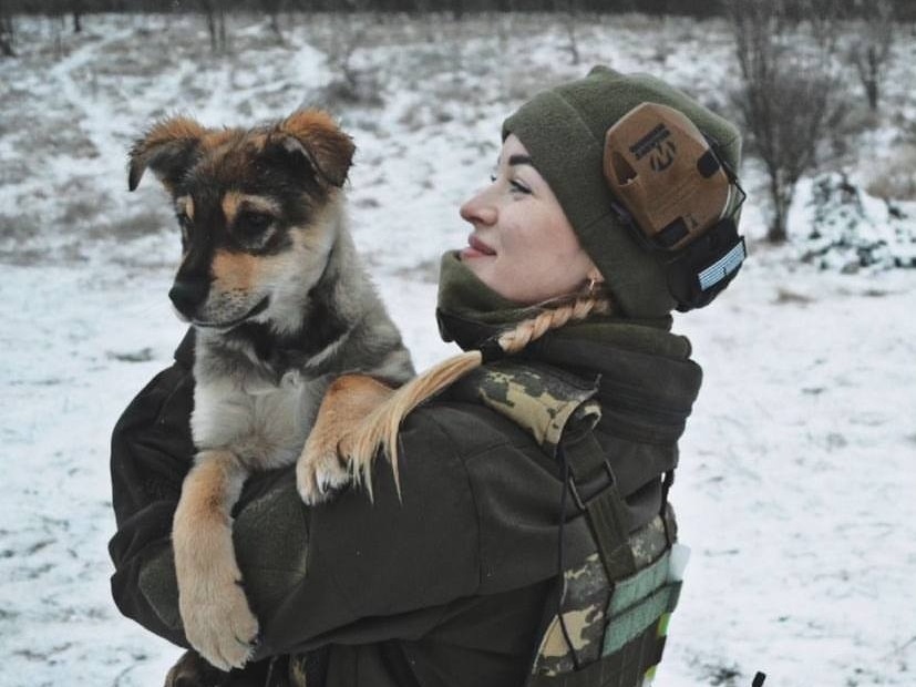 Військова Краснограда