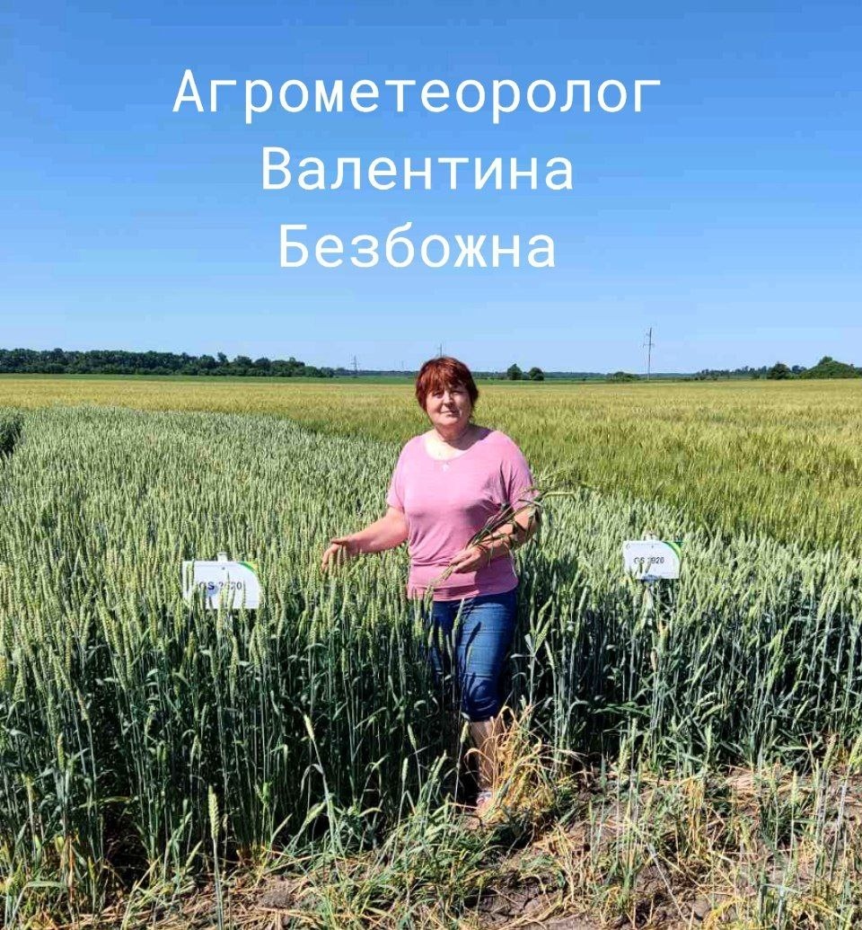 Агрометеоролог Валентина Безбожна.