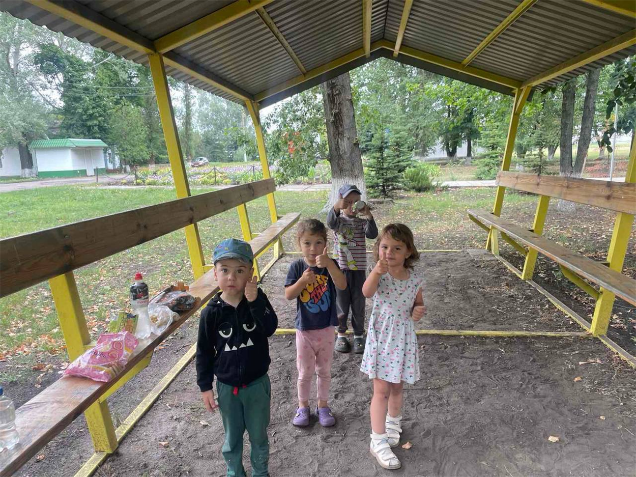 Толока в Аполонівці
