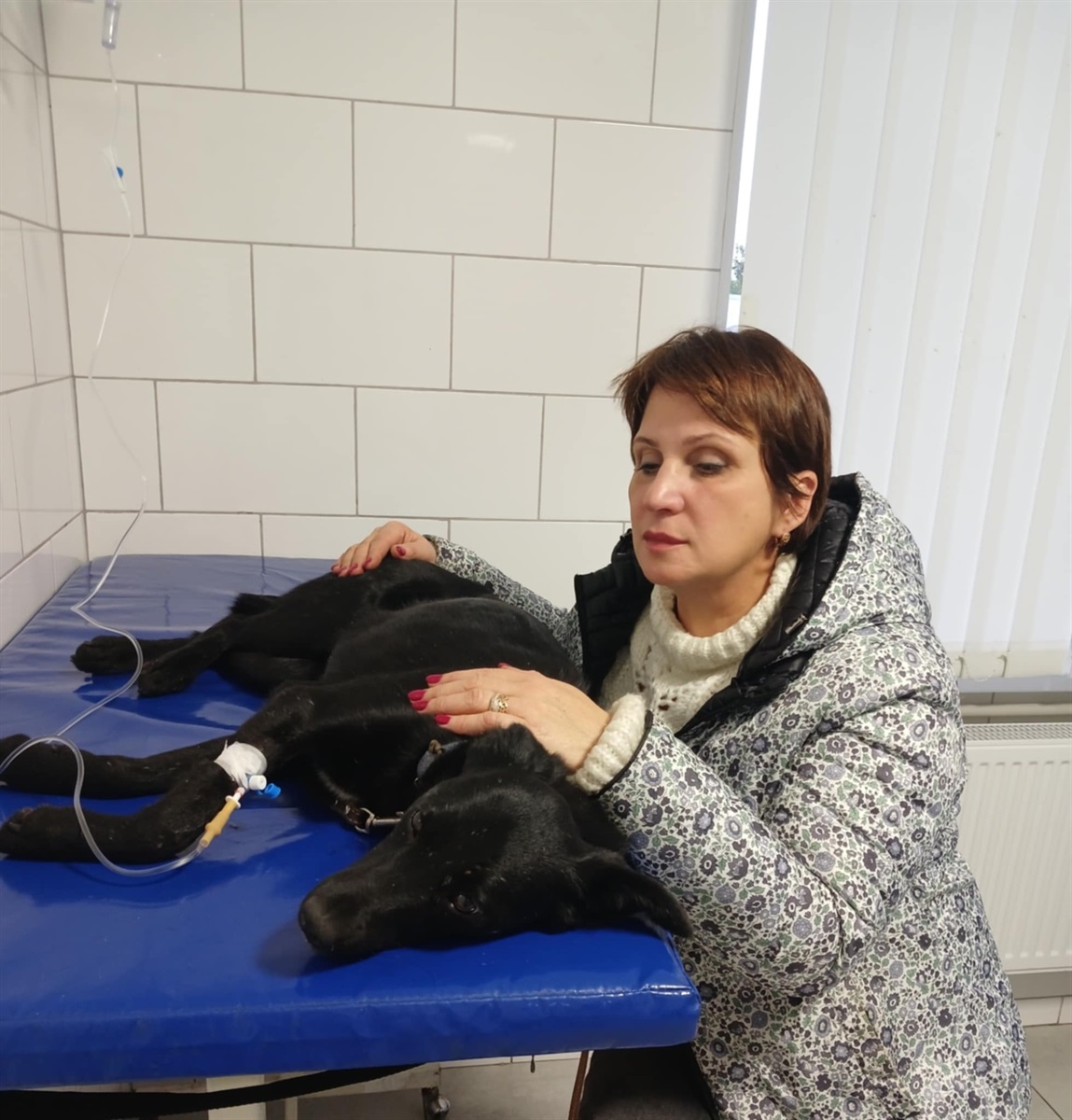 Наталія Петрівна в клініці з безхатньою собакою. Один із вечорів після основної роботи: погодувала перетримку й провела вечір біля пораненої улюблениці. І так — уже п’ять років поспіль.