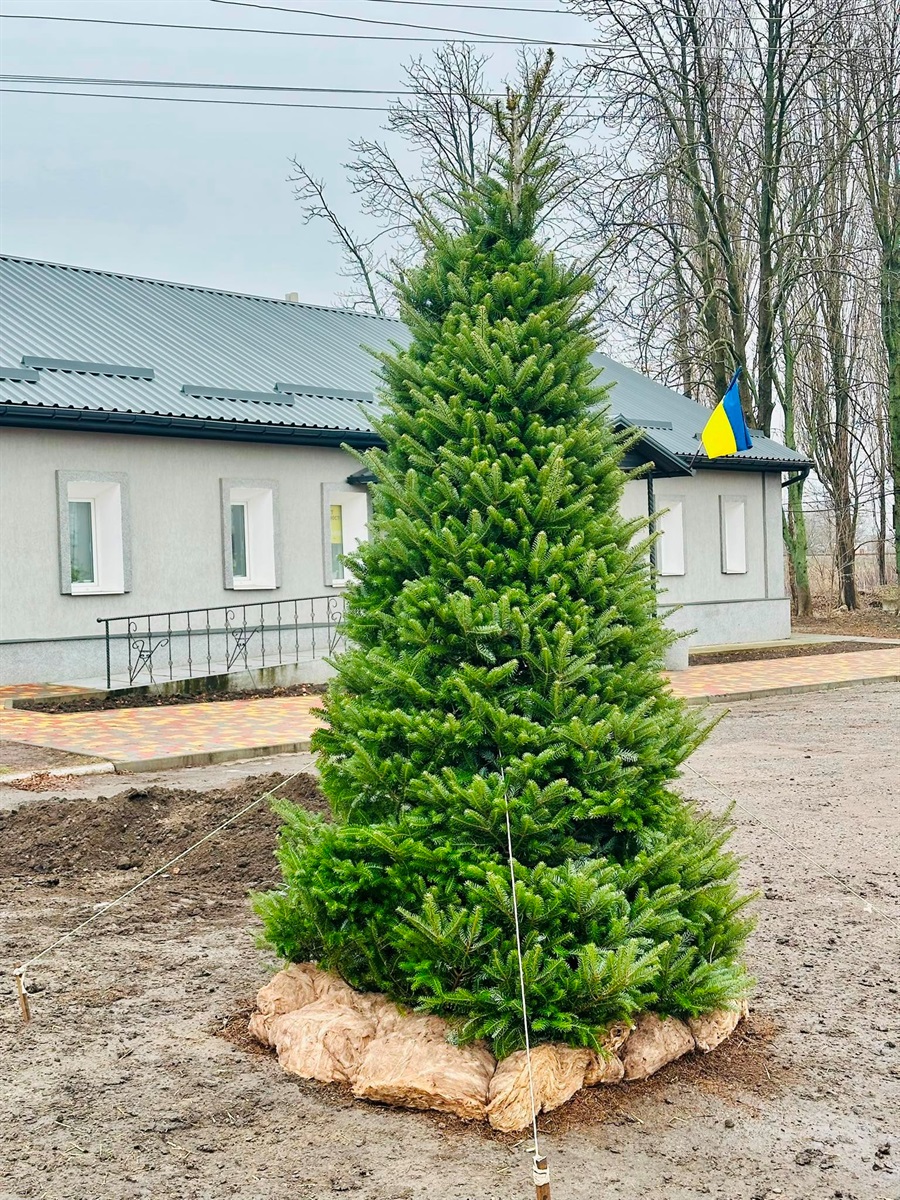 Центральна ялинка громади